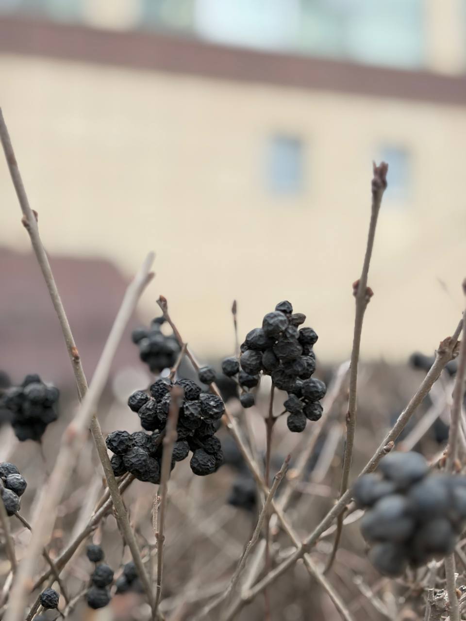 Доброе утро!. Во вторник весна решила напомнить о себе дождём