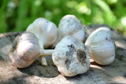 ������ �������� � "�����": ������ ��������� ����� ��� ��������� �����