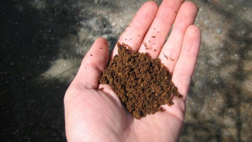 ��� ������ ���������� ����������� ����� � ������� ��������� �������