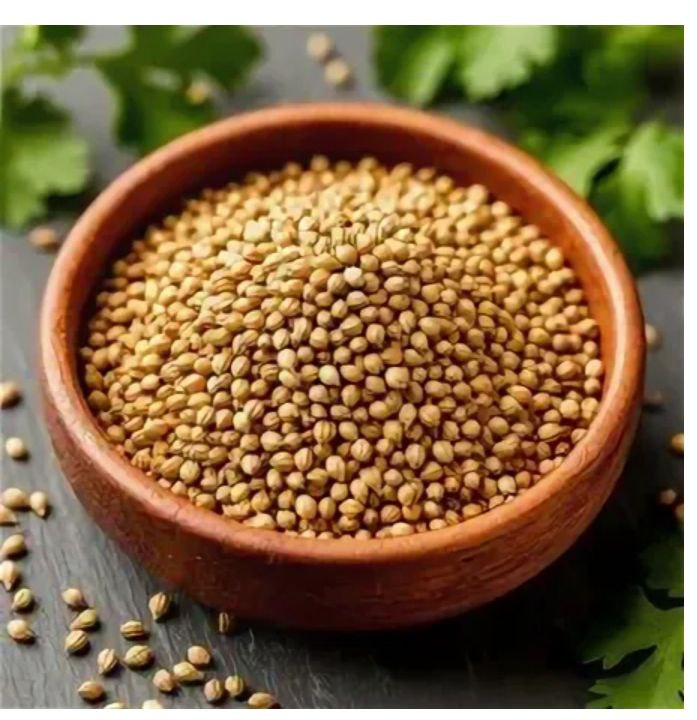 Кориандр: секреты полезной пряности, которая улучшит ваше здоровье