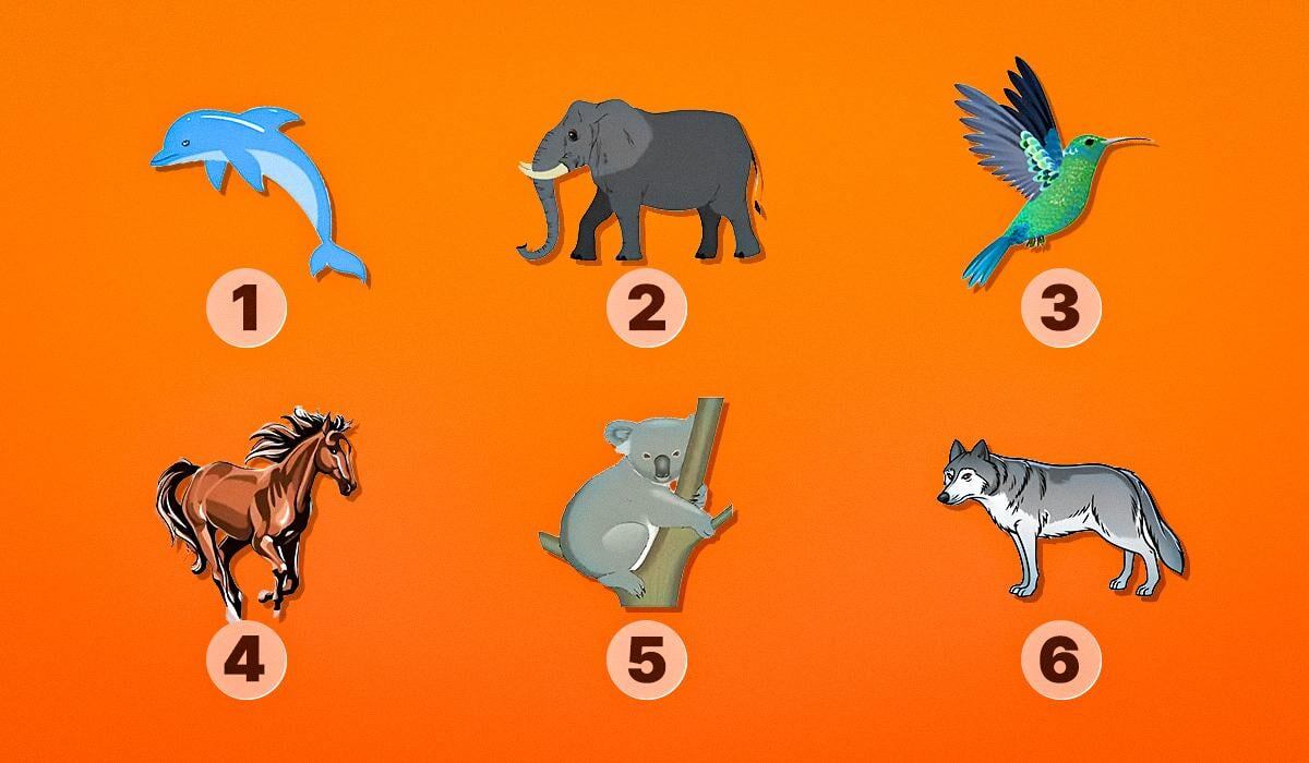 Какое духовное животное охраняет вас? Узнайте с помощью увлекательного теста