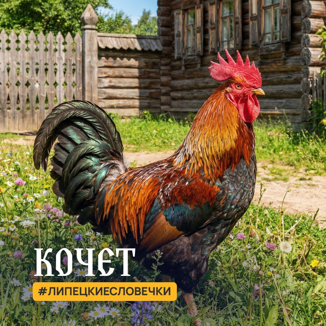 Переменную облачность и температуру +4°…+7°С обещают в Липецкой области в понедельник синоптики