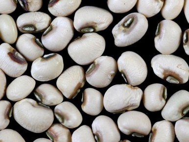 ����������� ������ ������ � ����������� ������: ������ �� ������ ������