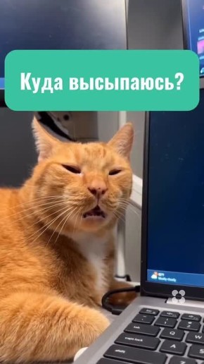 ���������� ����? ������ ������������, ������������, ����� � ������ ������� �� ��������? � ���� ������ �� �������? � ���, ���� ������� ���� ������ ���������?!