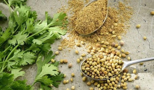 ��������: ������� ������ � ������������� ����������