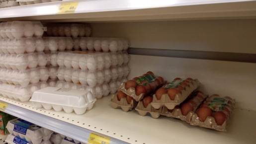 ��� ������� ������ ��������: ������� ���������� ����������