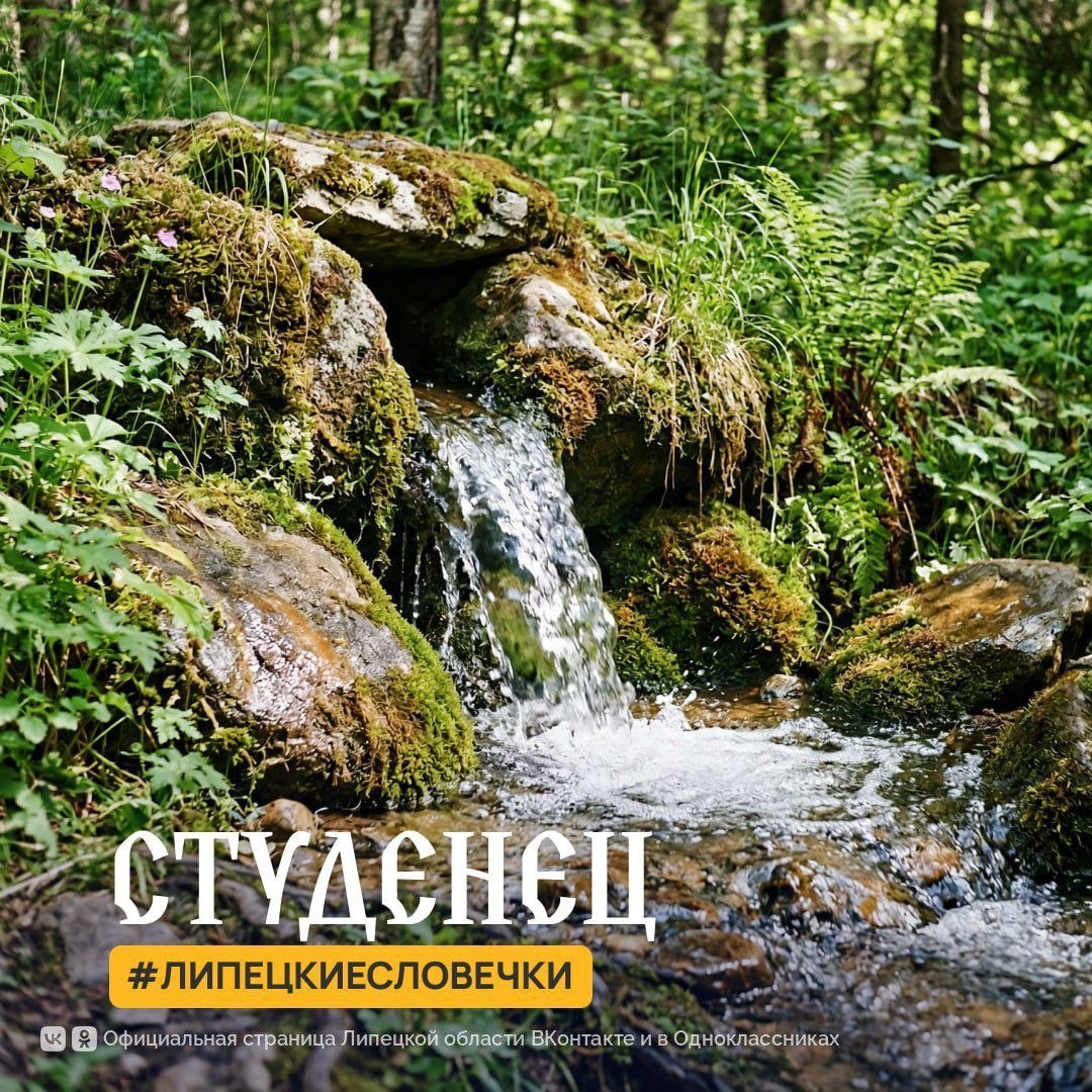 До +12°С прогреется воздух сегодня в Липецкой области