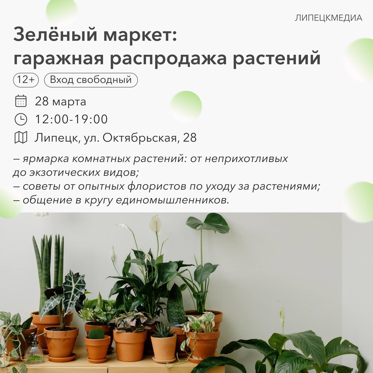 План на эти выходные уже готов! План на эти выходные уже готов!