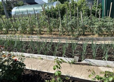 ��������, ������� ������������� �� ����� ������� ���������