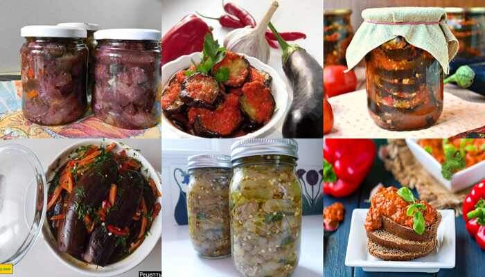 Вкусные закуски из баклажанов на зиму: проверенные рецепты без стерилизации