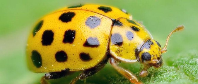 �������� ��������� ��� ������ ����: ��� ������ ����� ���������?