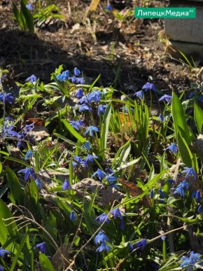 �� ������ ��� ����� ������ ��������, � ������ �� ���� ������������ �������