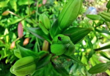 ��� ����������� ��� � ������ � �����������: ������� ����������� ������� ������