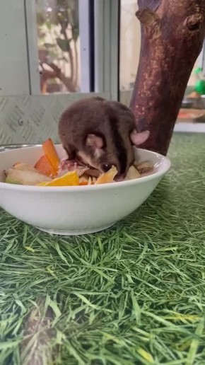 ����� ������, �� ����� ������� � ������� ���������