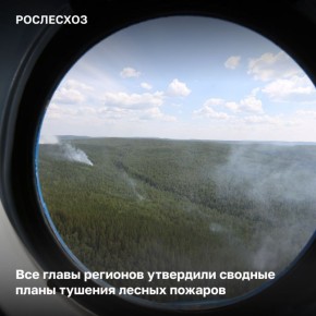 На основании утвержденных документов Рослесхозом формируется план межрегионального маневрирования лесопожарных формирований, специализированной техники и оборудования