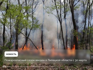 ������������� ����� �������� � �������� ������� � 30 �����