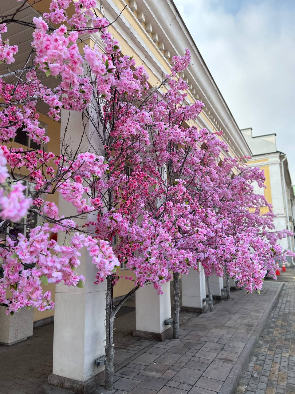 Доброе утро!. На календаре понедельник, но он обещает быть теплым и солнечным, а значит не таким тяжелым Днём от +7 до +14 °C