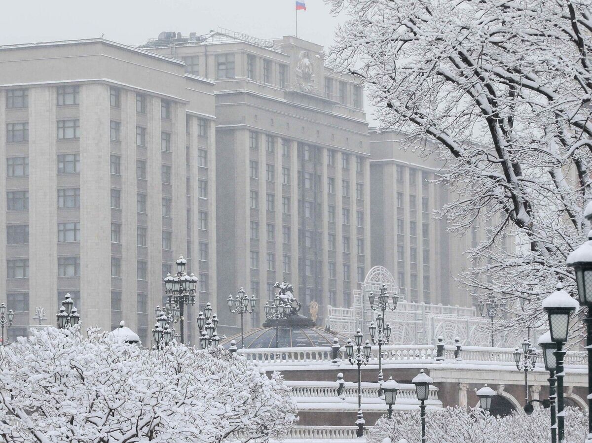 Госдума одобрила новый закон для иностранцев в российской армии