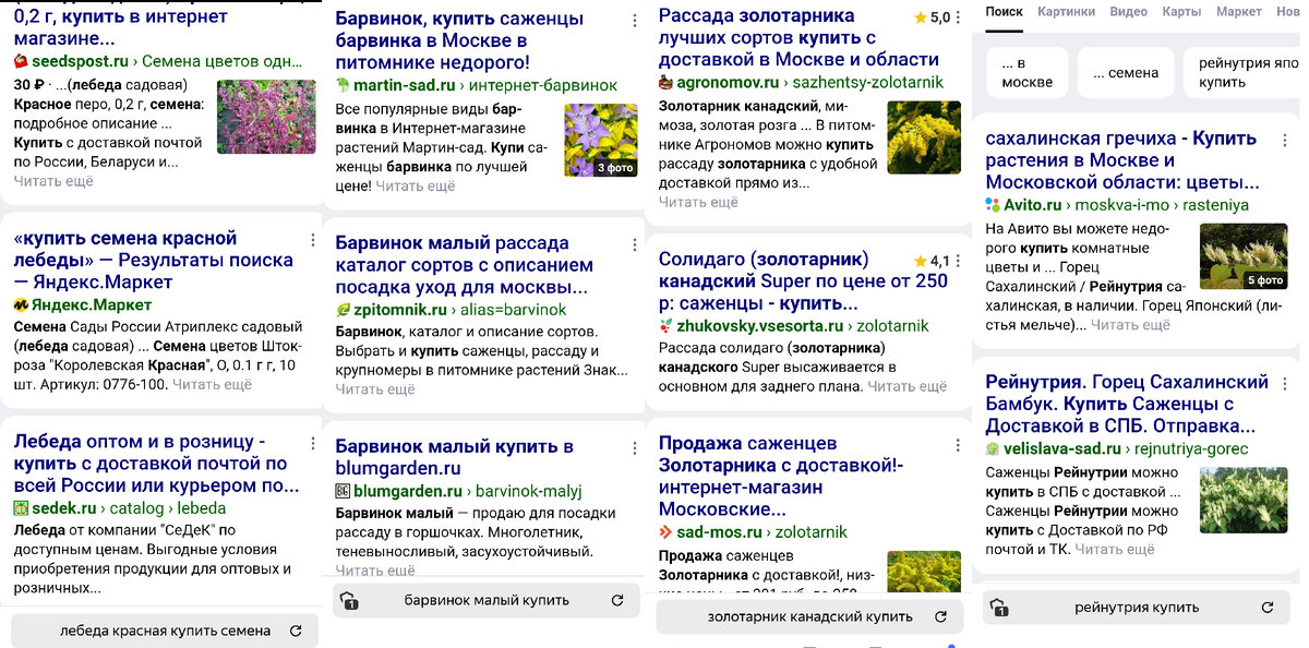 Цветы, которые не отпускают: какие растения могут стать настоящей головной болью для садовода