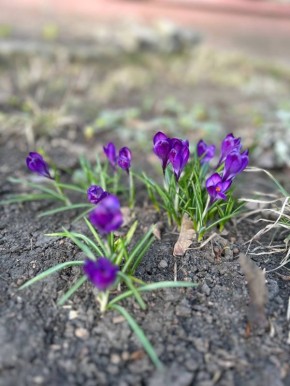 ������ ����!. ������� ������� � ��������� ���� �����, ��� ������ ��������� ������