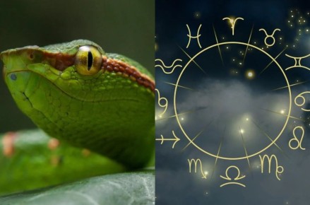 ��� ���������� ����: ����� ������� ��� ���� ������ �������