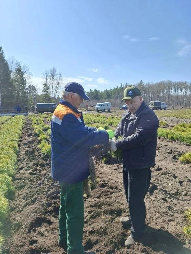 Мягкое зеленое на вид – на самом деле колючее Мягкое зеленое на вид – на самом деле колючее
