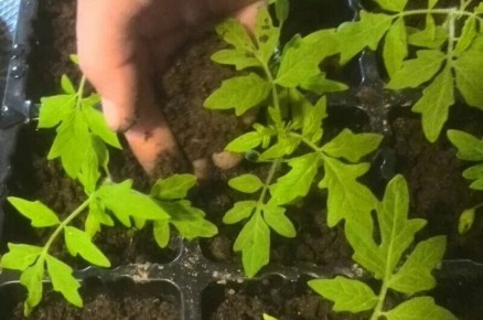 ������ ������� ������� ����� �� �����: 5 �������� ������ � �� �������