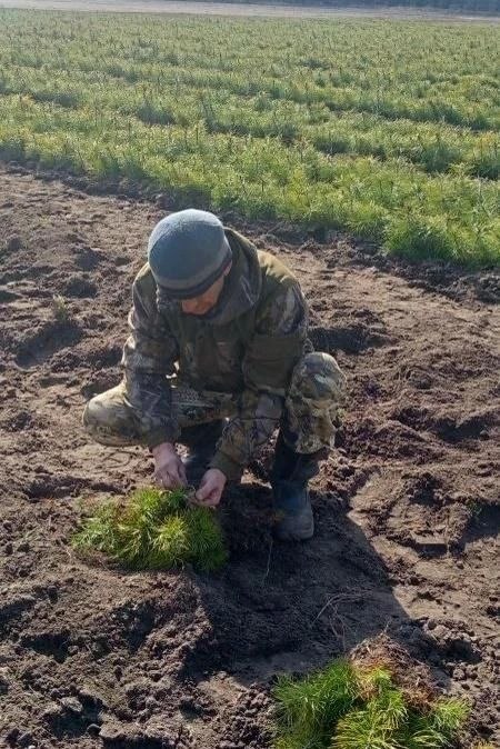 Мягкое зеленое на вид – на самом деле колючее Мягкое зеленое на вид – на самом деле колючее