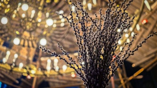 ������� ��������: � ������� ������������, �������!