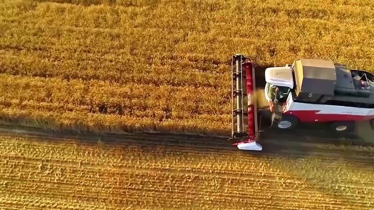 Евгения Уваркина: Семья — фундамент всего будущего