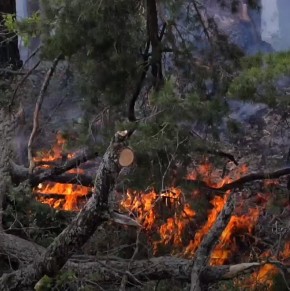 ����� ���������: � ������� �������� �������� ������ � �������, � ����� �����