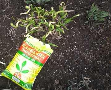 ��� ������� ��������� �������� ��������� ��� ���� � �������