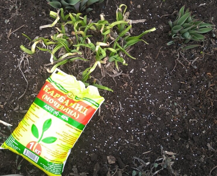 Как выбрать идеальное весеннее удобрение для сада и огорода