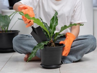 ��� ������� ��������� ����� ��� �������� ��������: ������� ��������� �����