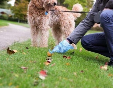 ������ �� �������� �������� ������������: ��� ���������� � 2026 ����