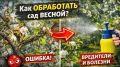 Как весной защитить сад от плодожорки и парши