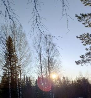 Как мы заботимся о маме в лесном поселке: история одной семьи