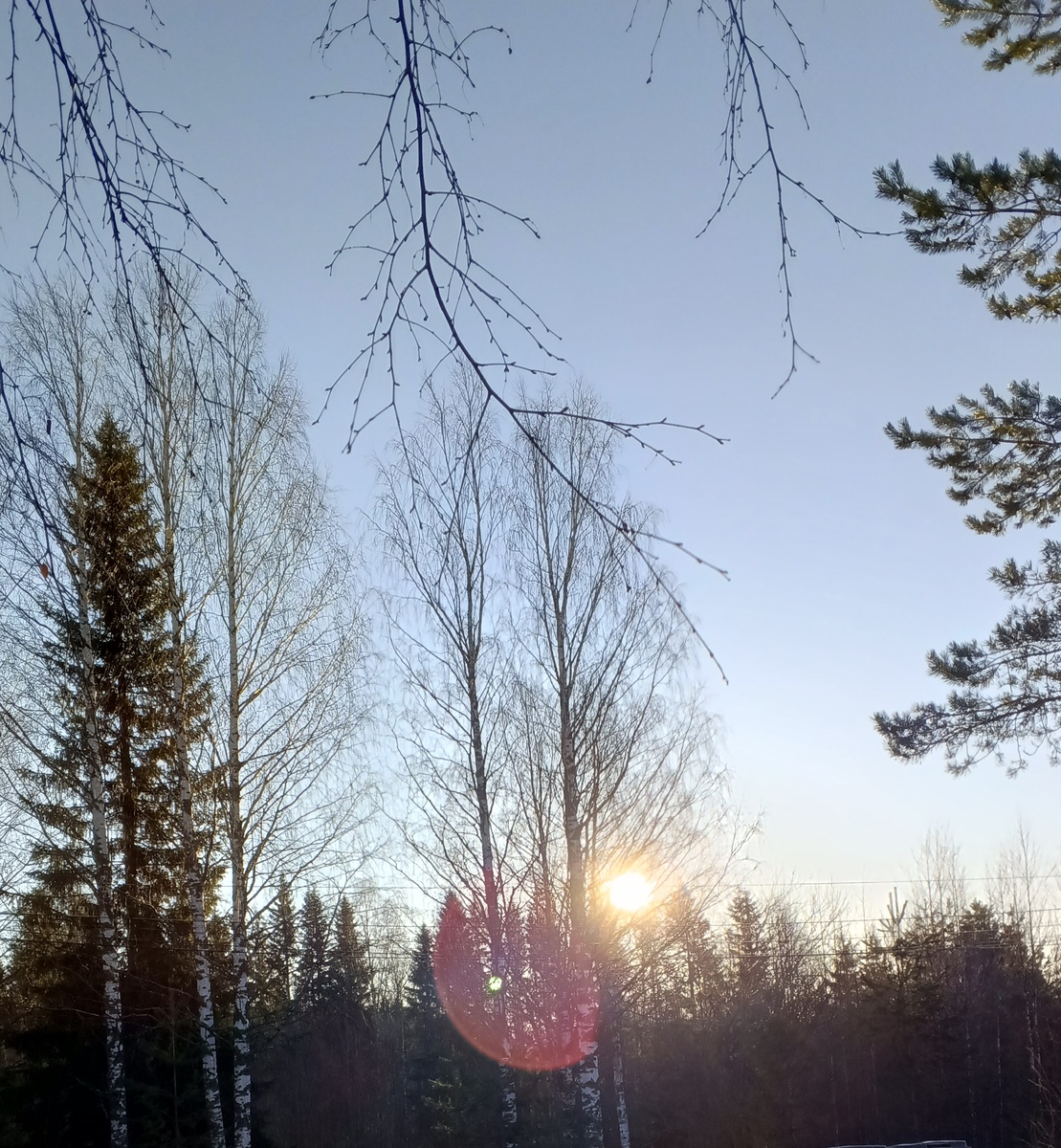 Как мы заботимся о маме в лесном поселке: история одной семьи