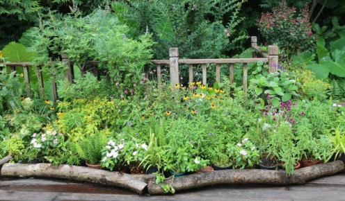 ������ �� ����: ��� ������� ��������� ���������� ������ ������