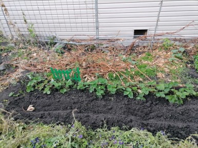 ��� ����������� ��� � ������ � �������: ������������ ������ �� �������