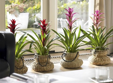 ������ ������� ���: 9 ��������� ��������, ������� ��������� ���� �������� ���