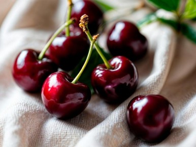 ����� ��� �����: ���������� ������ ��� ��������������