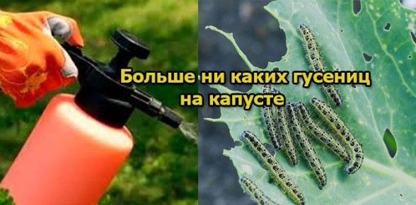 ����������� ������ ������ ������� �� ����������: ������, �������� � ����������