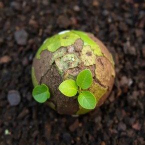 ��� ������, ����� ����� �� ����� �������: ������� ������ ��� ������� ��������