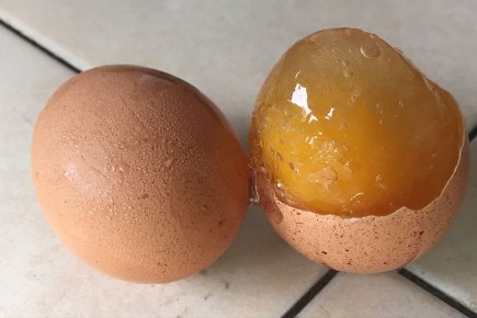 ������������� ���: ��� ����� ����� �� ���� ��������