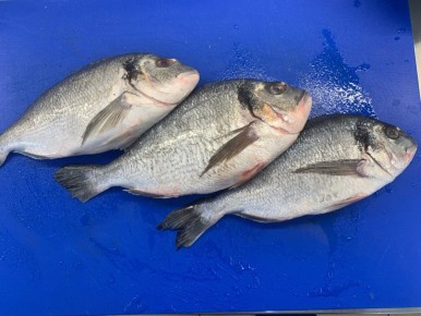 ��� ��������� �������� ����: ������� ���������� ������� � ���