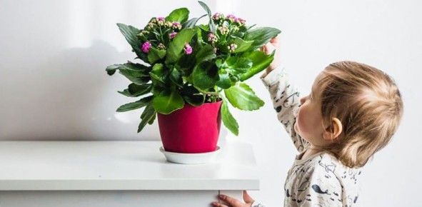 ��� ������� ��������� �������� ��� ������� �������: 9 ���������� ���������� ��� ��������