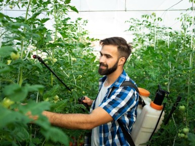 ��� �������� �������� ����� ������ ������: ������� ������ � ����������