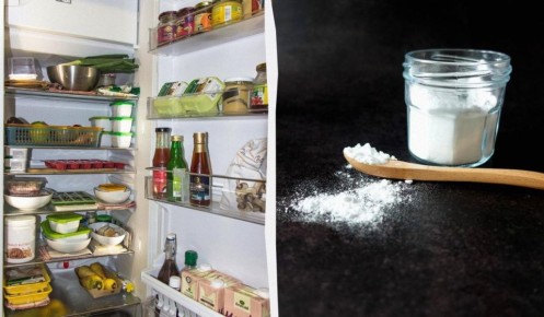 Как освежить холодильник без химии всего за два ингредиента