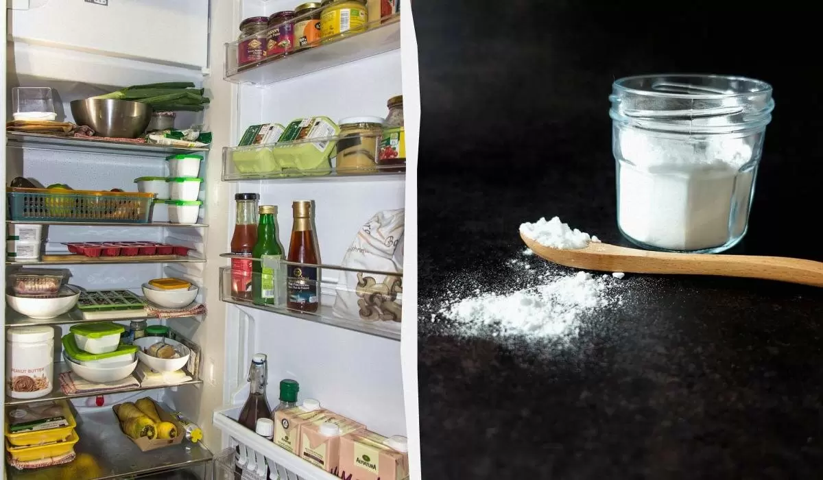 Как освежить холодильник без химии всего за два ингредиента